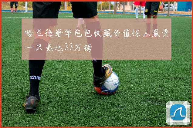 哈兰德奢华包包收藏价值惊人最贵一只竟达33万镑