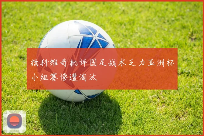 扬科维奇批评国足战术乏力亚洲杯小组赛惨遭淘汰